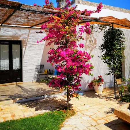 招待所 In Bb - Spacious Quadruple In Ancient Masseria Near The Sea In A Quiet Olive Trees 罗萨玛里纳