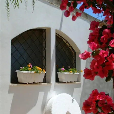 In Bb - Spacious Quadruple In Ancient Masseria Near The Sea In A Quiet Olive Trees 招待所