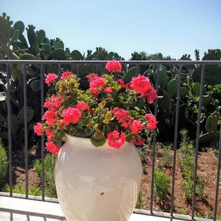In Bb - Spacious Quadruple In Ancient Masseria Near The Sea In A Quiet Olive Trees * 罗萨玛里纳